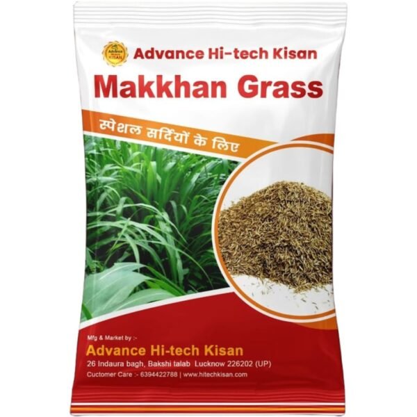 Makkhan Grass