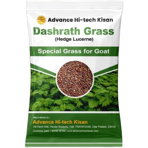 Dashrath Grass