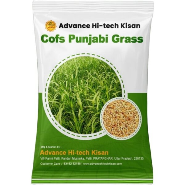 Cofs Punjabi Grass
