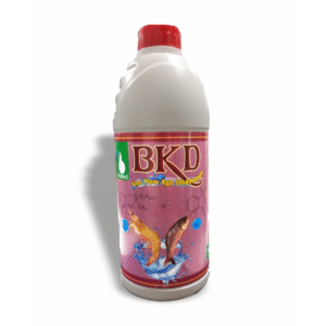 BKD