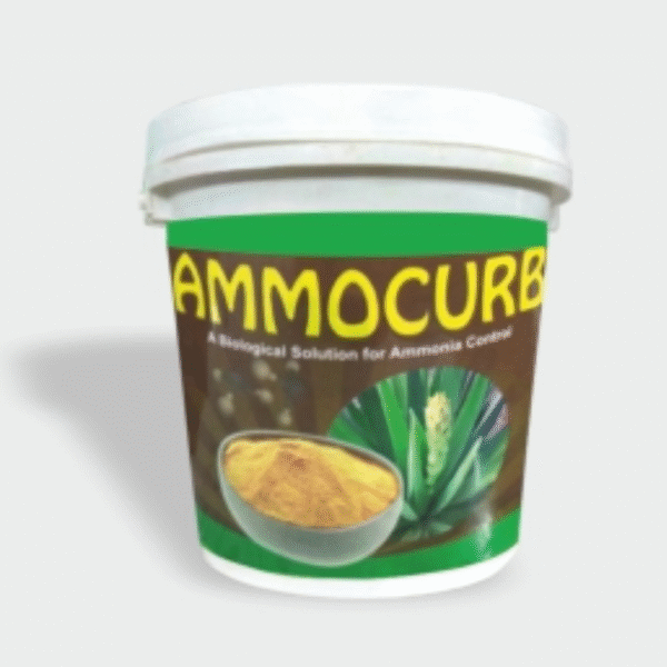 Ammocurb